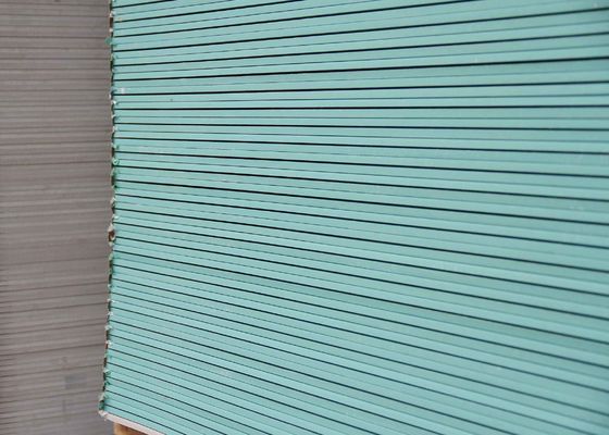 Guter Preis 1200 mm Breite Grünes Gipsbrett Wasserdichtes Gipsbrett für Trockenwand und Decken Online